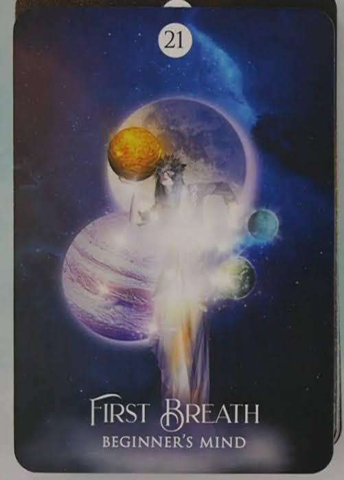 The Shamans Dream Oracle